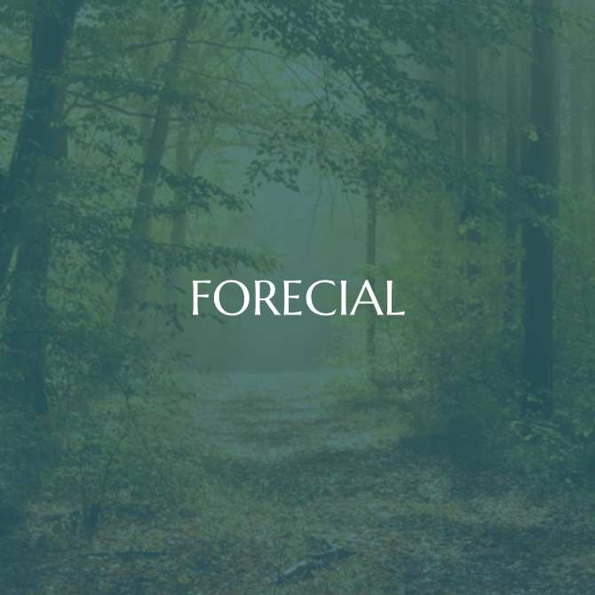 Gestion du Groupement Forestier d'Investissement FORECIAL de FIDUCAIL Gérance