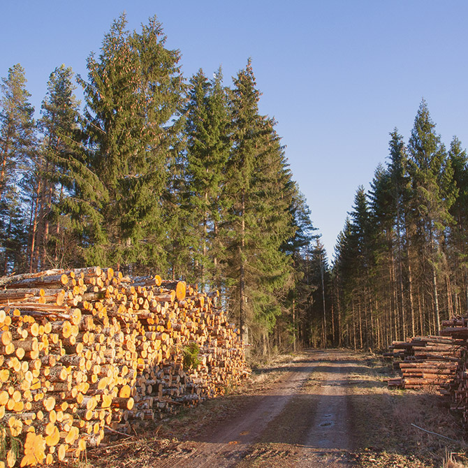 Les Plans Simples de Gestion des forêts