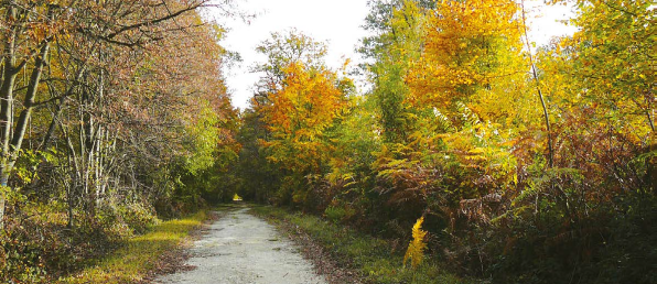 Forêt : GF Ile-de-France de FIDUCIAL Gérance