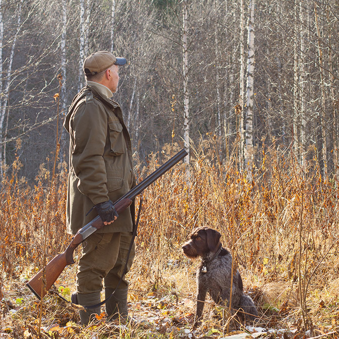 Les revenus des forêts gérées par FIDUCIAL Gérance (la chasse)