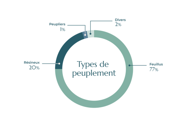 Peuplement du GF Picardie Navarre - FIDUCIAL Gérance