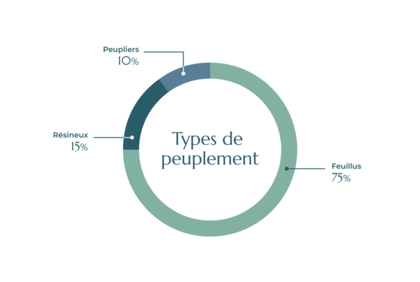 Peuplement du GF Haute Pommeraie - FIDUCIAL Gérance