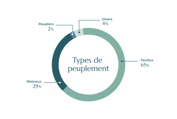 Peuplement du GF Ile de France - FIDUCIAL Gérance